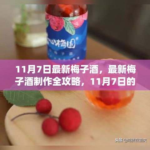 11月7日最新梅子酒制作指南，从初学者到进阶用户的全攻略