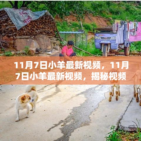 案例 第536页