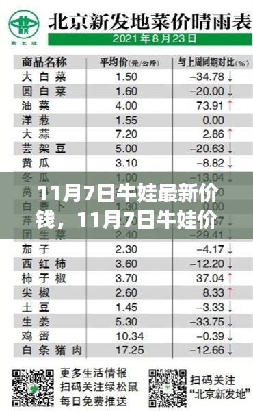 11月7日牛娃行情分析，最新价格及多方观点交织的思考