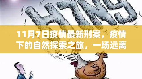 条款 第553页