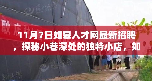 案例 第533页