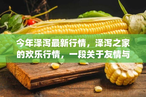 今年泽泻最新行情，友情与陪伴的温馨故事，泽泻之家的欢乐时光