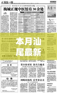 本月汕尾最新一例深度解析，影响及各方观点探讨