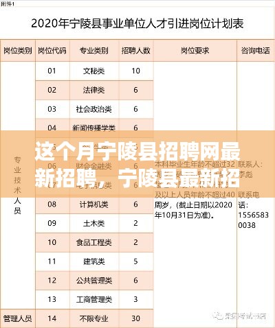 宁陵县最新招聘一网打尽，求职全攻略，适合初学者与进阶者