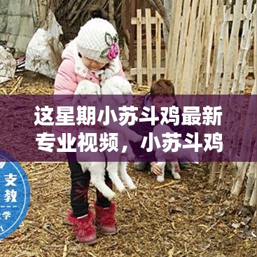 废寝忘食 第40页