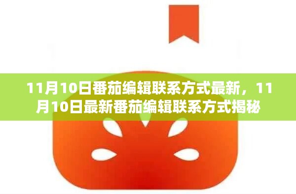 揭秘最新番茄编辑联系方式，11月10日更新版