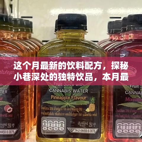 本月小巷深处的独特饮品探秘，惊艳味蕾的新饮料配方出炉！
