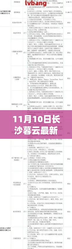 长沙暮云最新招聘信息探秘，11月10日全新招聘动态揭秘