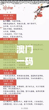 条款 第506页