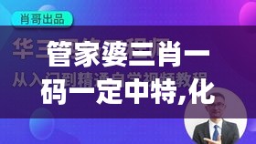 shanshishanzhong 第19页
