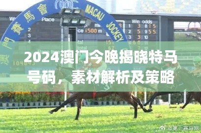 2024澳门今晚揭晓特马号码，素材解析及策略方案详解_LNT639.25