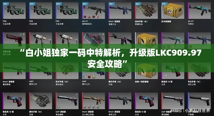“白小姐独家一码中特解析，升级版LKC909.97安全攻略”