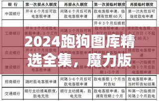 2024跑狗图库精选全集，魔力版EVS651.62深度解析