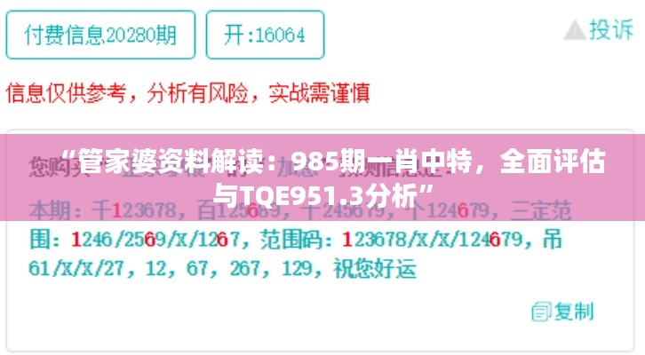 “管家婆资料解读：985期一肖中特，全面评估与TQE951.3分析”