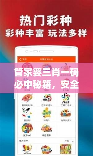 管家婆三肖一码必中秘籍，安全评估方案个性版NDV992.36