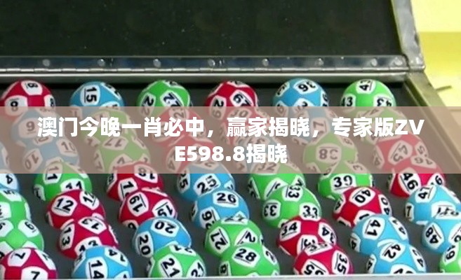 澳门今晚一肖必中，赢家揭晓，专家版ZVE598.8揭晓