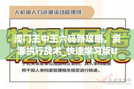 澳门王中王六码新攻略，资源执行战术_快速学习版UNM80.66