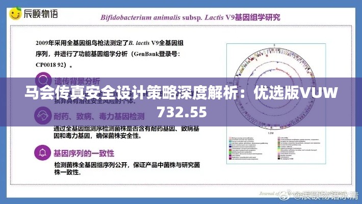 马会传真安全设计策略深度解析：优选版VUW732.55