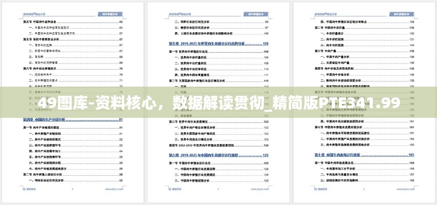 49图库-资料核心，数据解读贯彻_精简版PTE341.99