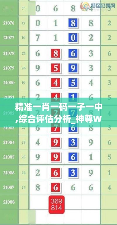 精准一肖一码一子一中,综合评估分析_神尊WZO425.65
