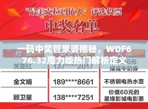 一码中奖管家婆揭秘，WDF676.32魔力版热门解析定义