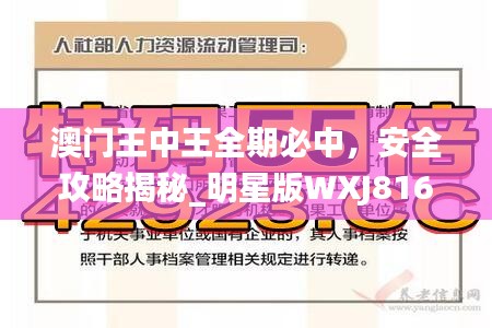 jieshenzihao 第17页