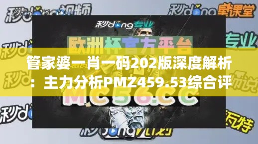 管家婆一肖一码202版深度解析：主力分析PMZ459.53综合评测