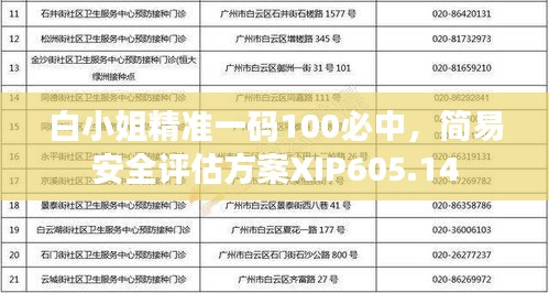 白小姐精准一码100必中，简易安全评估方案XIP605.14