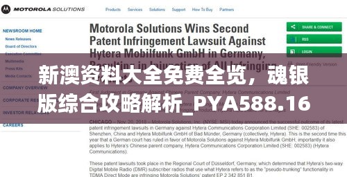 新澳资料大全免费全览，魂银版综合攻略解析_PYA588.16