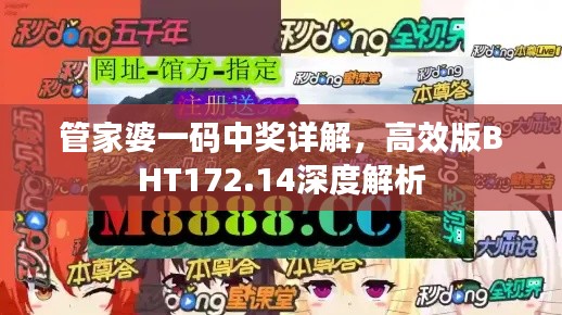 管家婆一码中奖详解，高效版BHT172.14深度解析