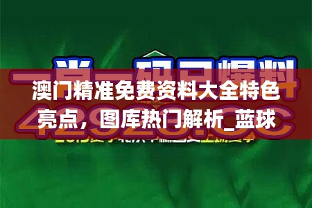 澳门精准免费资料大全特色亮点，图库热门解析_蓝球版PCR742.96