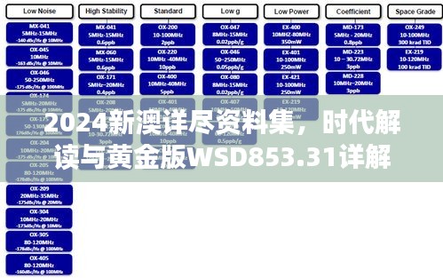 2024新澳详尽资料集，时代解读与黄金版WSD853.31详解
