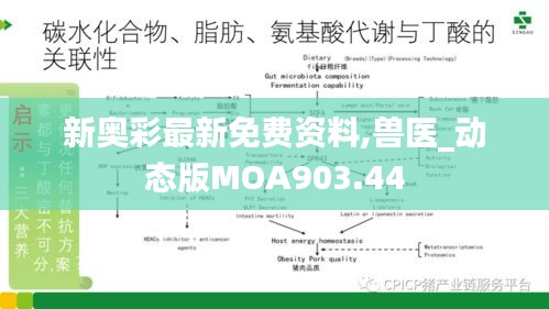 shanshishanzhong 第9页