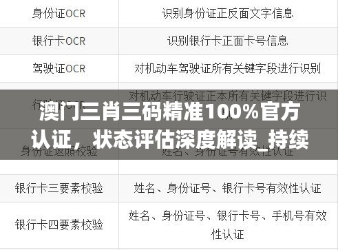 澳门三肖三码精准100%官方认证，状态评估深度解读_持续版CYU174.7