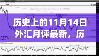 案例 第225页