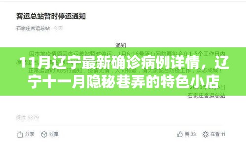 辽宁十一月隐秘巷弄的独特风味与故事，疫情下的小店风采及最新确诊病例详情