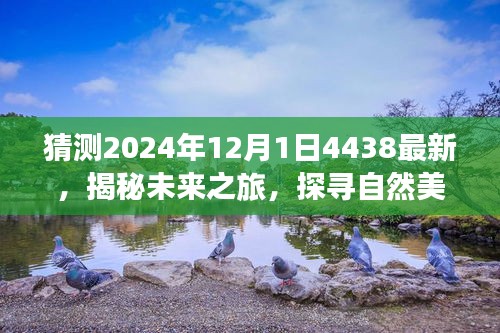 橘虞初梦 第11页