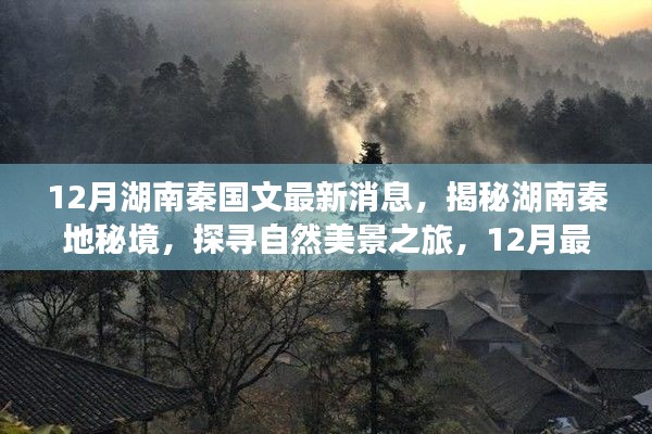 案例 第181页
