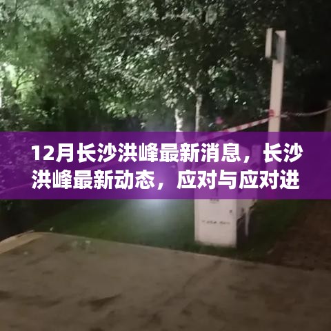 长沙洪峰动态更新，应对进展分析与科普解读