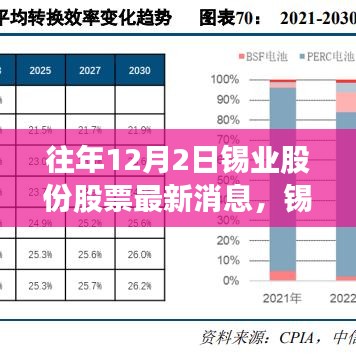 锡业股份历年动态回顾与最新消息深度解析，十二月二日锡业股份股票动态及最新消息速递
