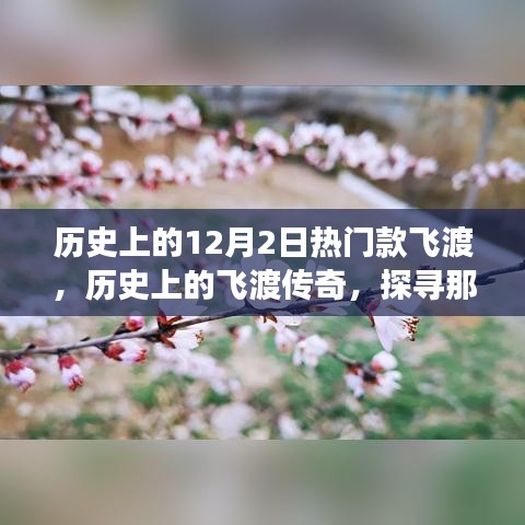 探寻历史上的飞渡传奇，闪耀在12月2日的热门款飞渡故事