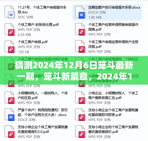 笼斗新篇章，2024年12月6日的奇遇与温情纽带