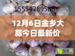 废寝忘食 第7页