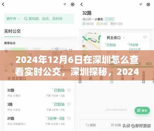 深圳探秘，追寻自然与内心宁静的公交之旅，实时公交查询指南（2024年）