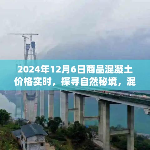 对答如流 第8页