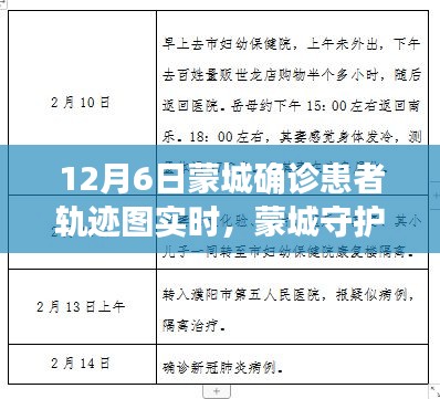 蒙城确诊患者轨迹图实时追踪揭秘，科技重塑防疫新篇章，蒙城守护者的抗疫行动
