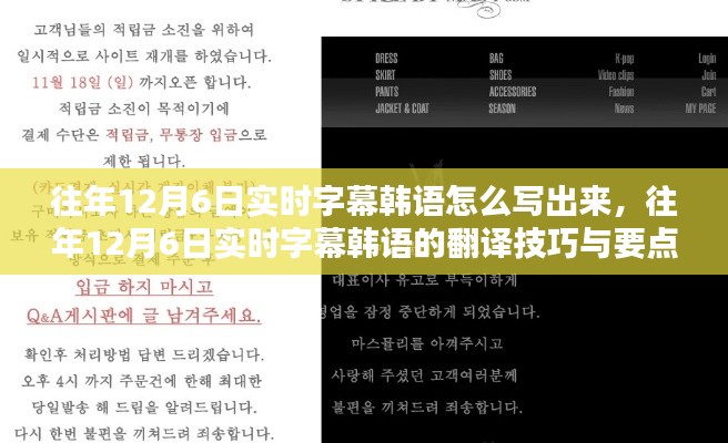 往年12月6日实时字幕韩语表达技巧与要点解析