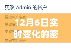 12月6日密码之谜，友情与陪伴的温暖故事