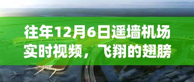 buweiquangui 第9页