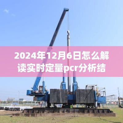 手把手教你解读实时定量PCR分析结果，掌握健康数据的关键步骤（针对2024年12月6日）